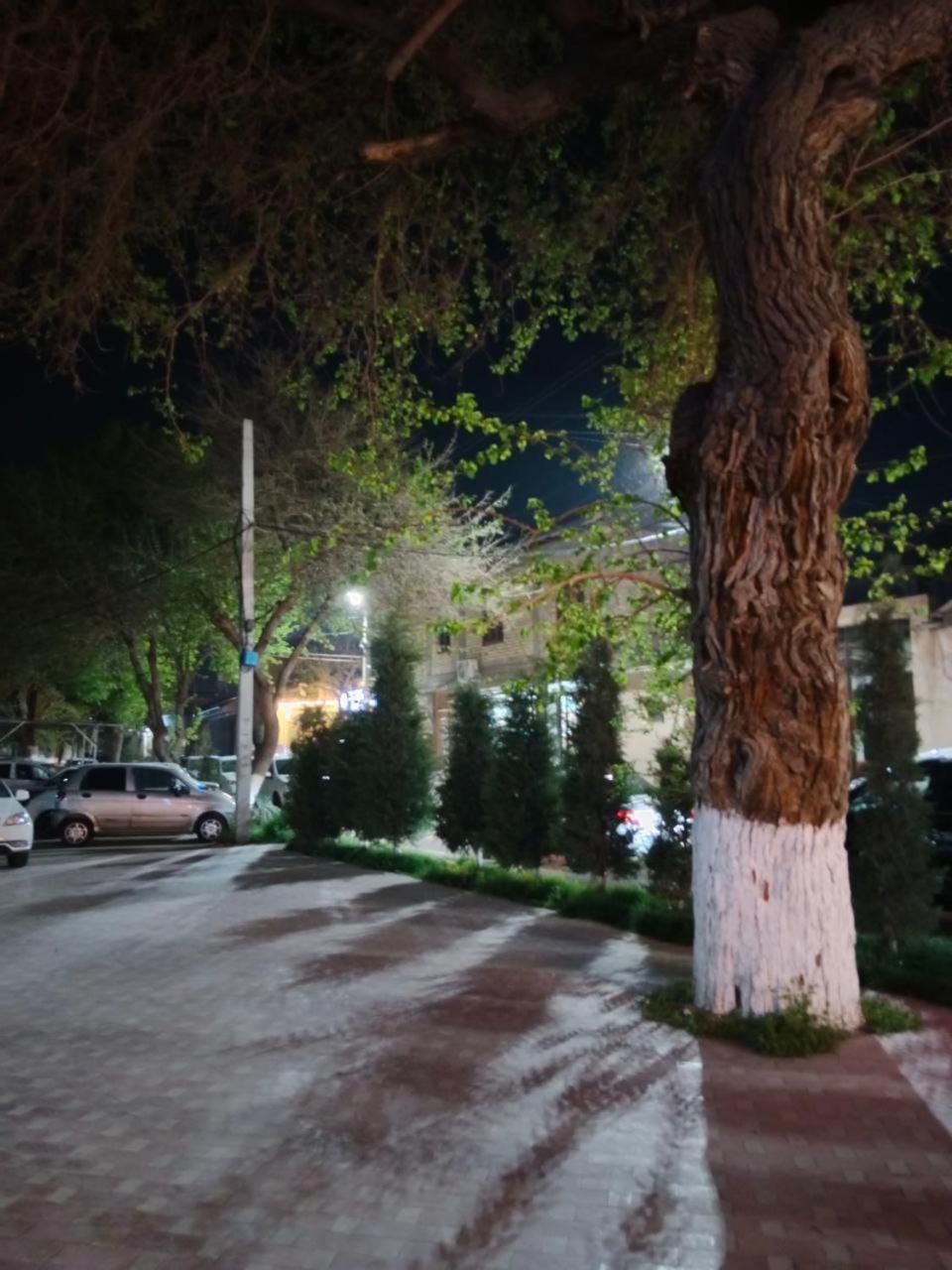 Gulsara Hostel サマルカンド エクステリア 写真